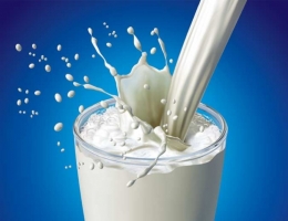 Top 4 Cửa hàng sữa uy tín Hà Nội được nhiều người lựa chọn nhất