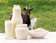 Top 9 Loại sữa bột từ sữa dê giúp bé phát triển toàn diện tốt nhất hiện nay