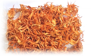 Tổng hợp 7 công dụng tuyệt vời của đông trùng hạ thảo với người già 2