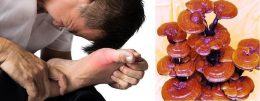 Bệnh Gout có nên dùng nấm linh chi? 10