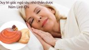 nấm linh chi trị mất ngủ hiệu quả