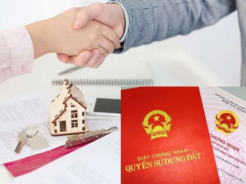 Đội ngũ pháp lý & hỗ trợ hồ sơ